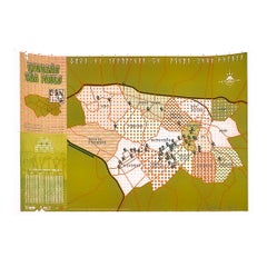 Invader Invasao Sao Paulo Map (Limited Edition Signed Print Version)