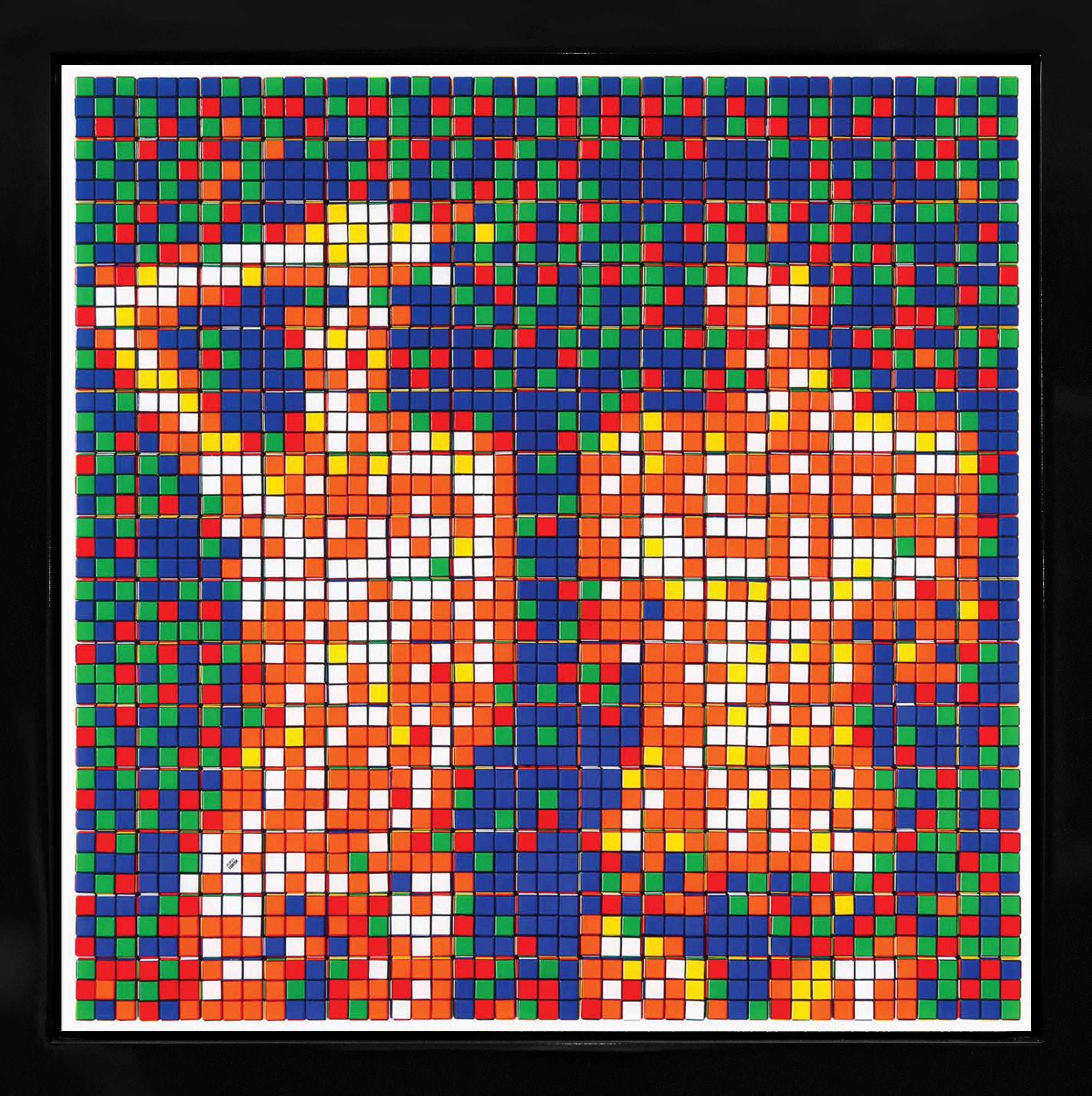 NVDR1-3 Country Life - Print by Invader