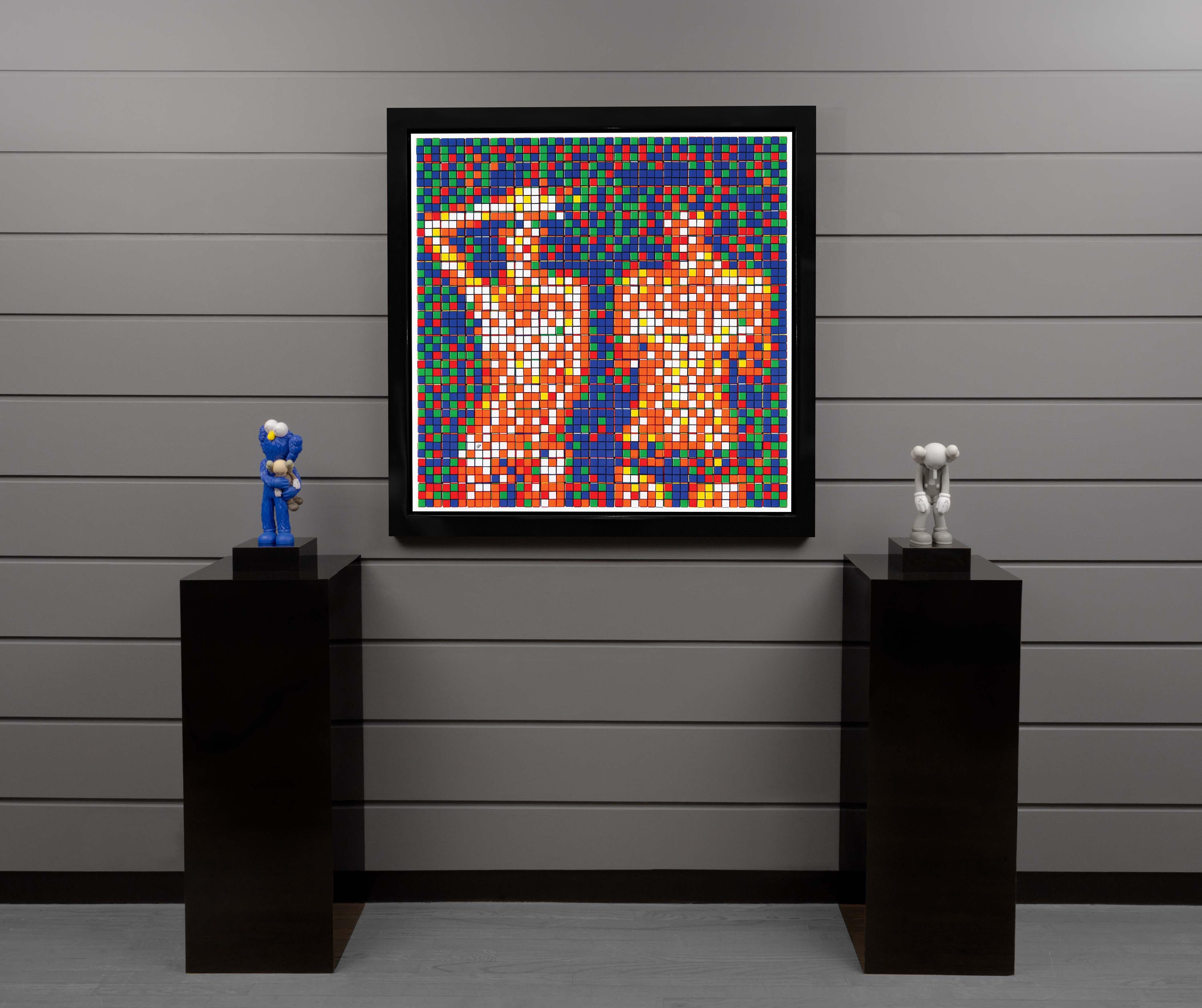 NVDR1-3 Country Life - Contemporary Print by Invader