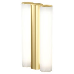 IP Gamma Satin Brass Wall Light by Sylvain Willenz