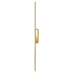 IP Link Double 1300 Polished Brass Wall Light by Emilie Cathelineau