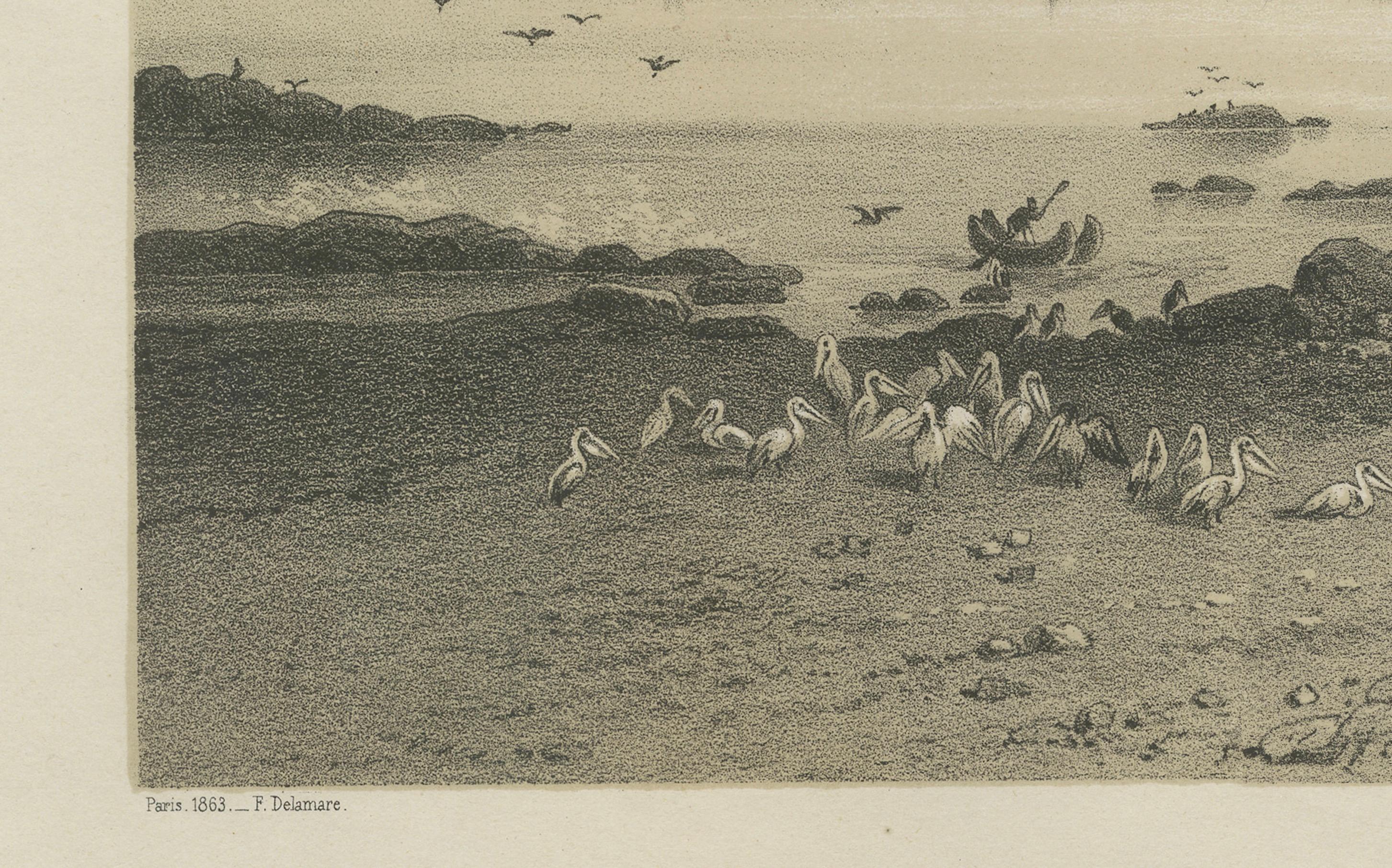Paper Iquique Peru (Now Chile) – Antique Coastal City Lithograph c.1865 For Sale