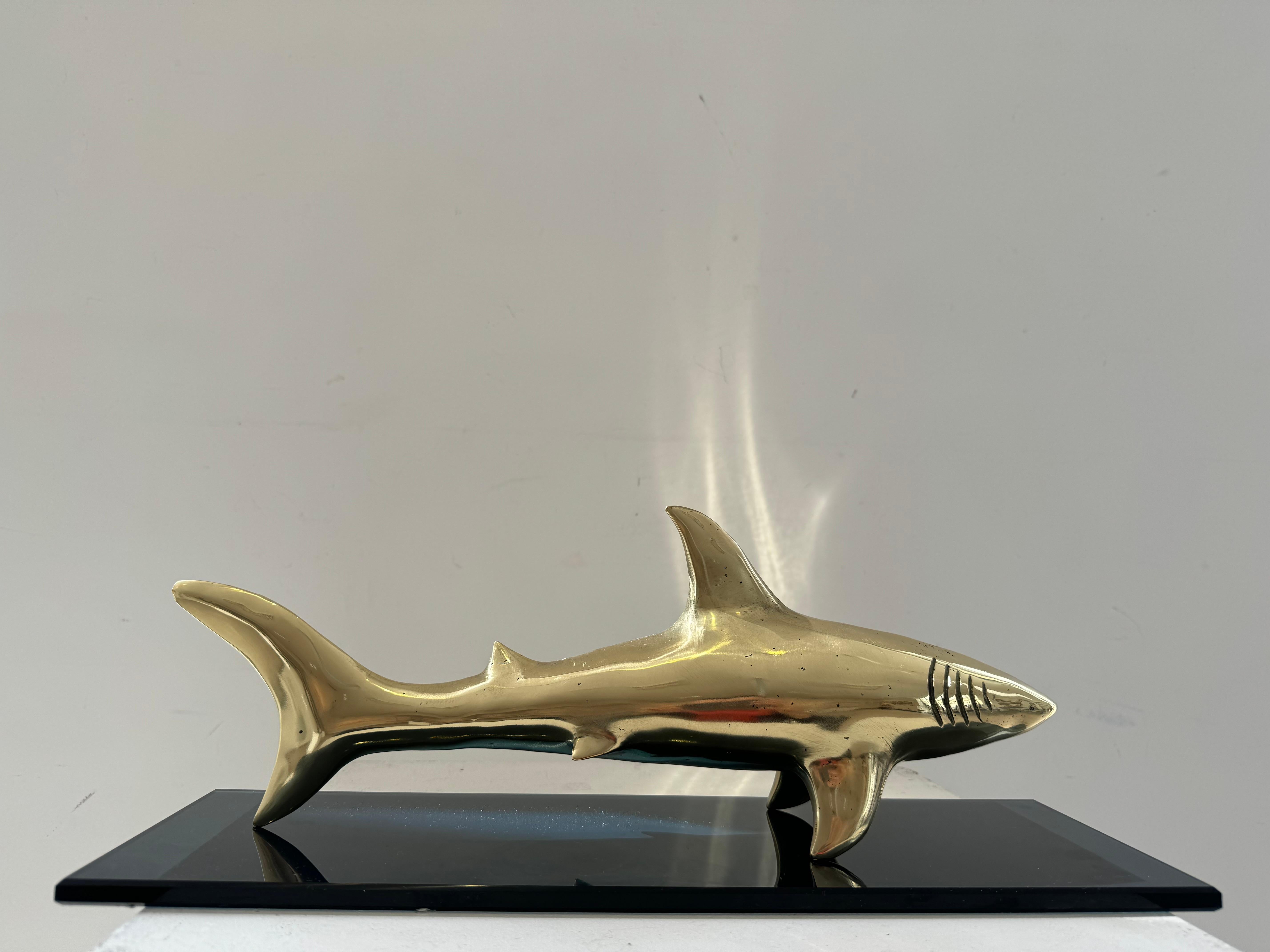 Scultura contemporanea georgiana di Irakli Tsuladze - Squalo in vendita 8