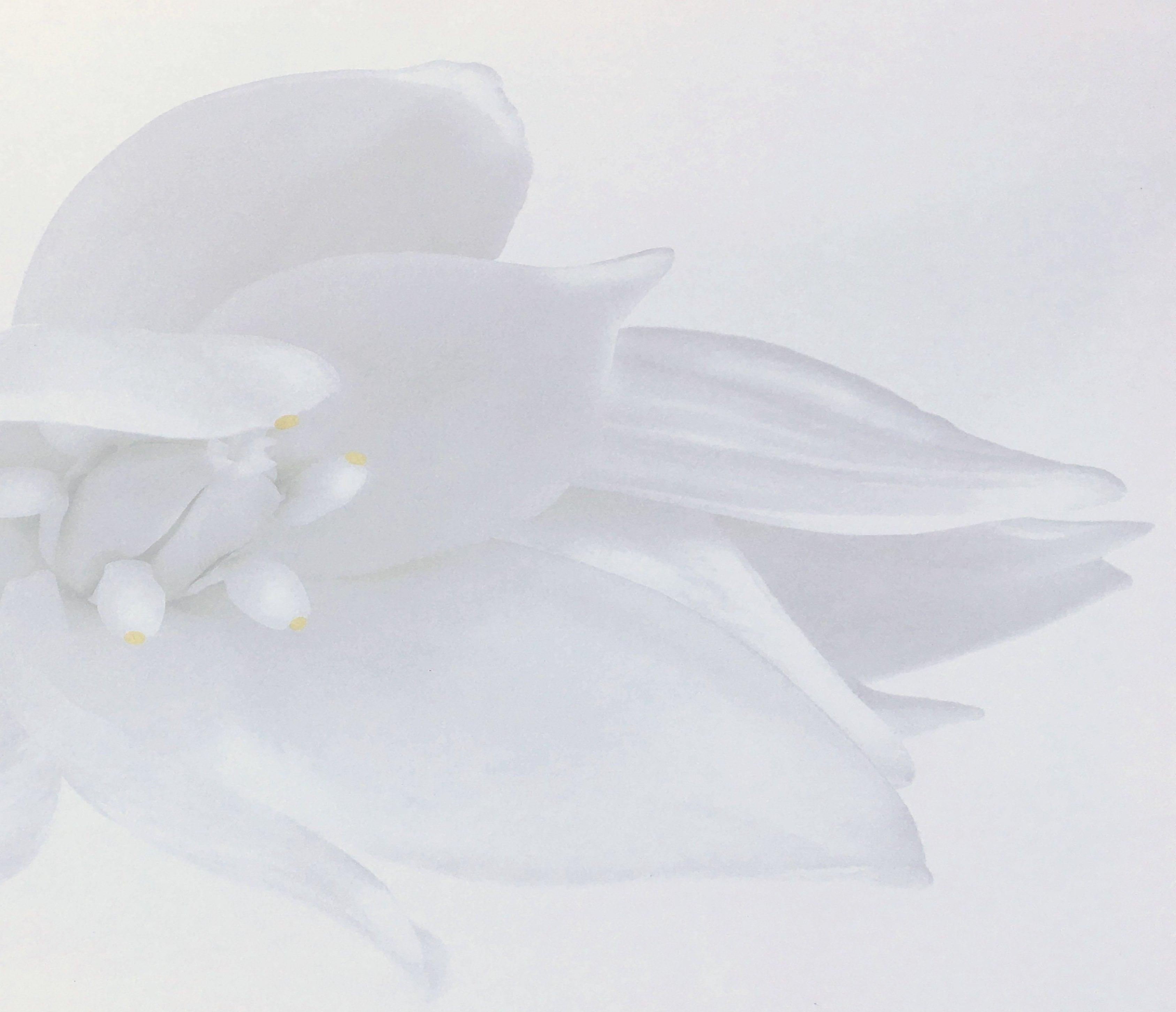 Rapture, Weiße Blumenschrank-Schrank-Fotografie in Schwarz-Weiß auf Plexiglas (Minimalistisch), Photograph, von Iran Issa-Khan