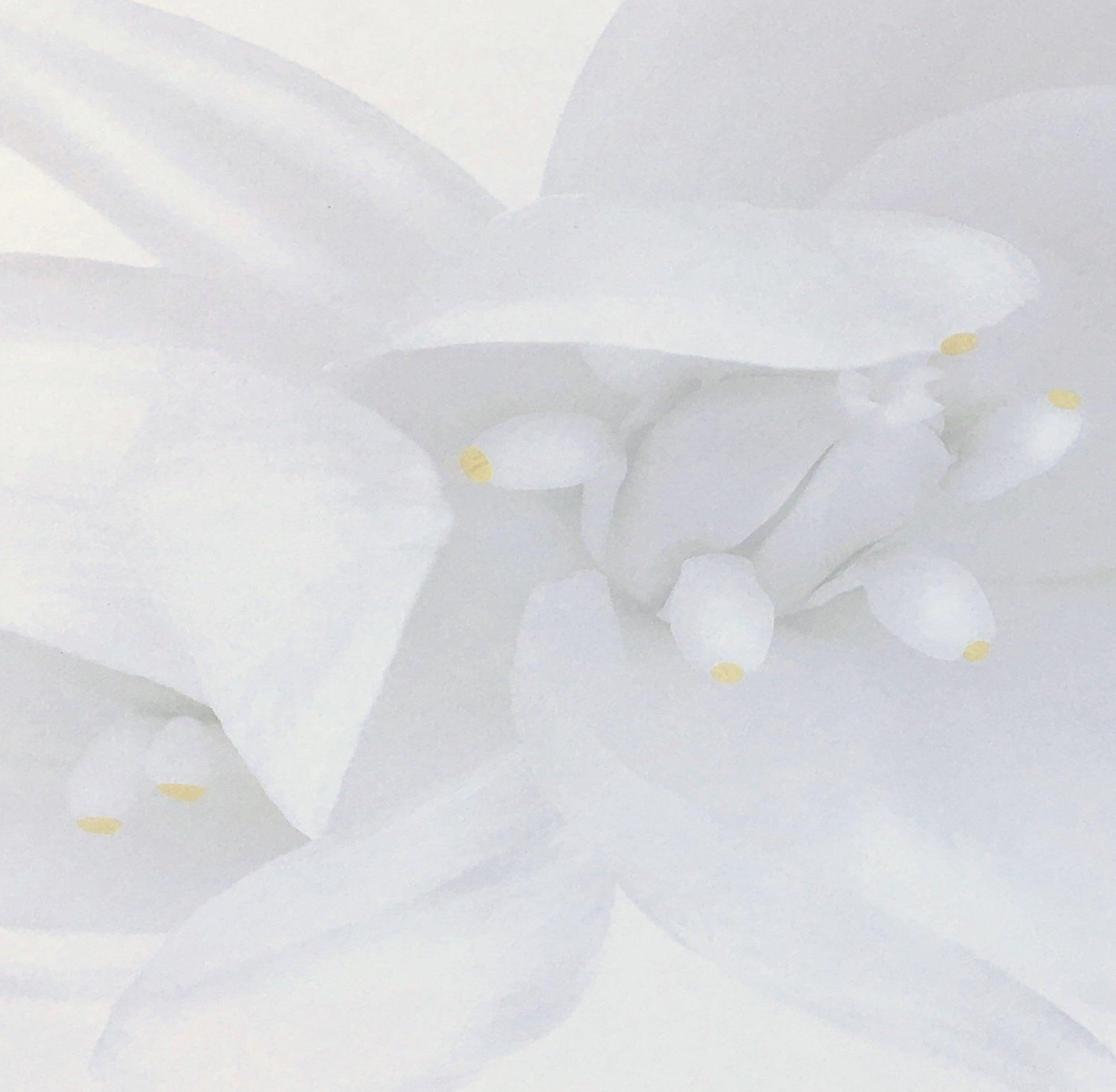 Rapture, Weiße Blumenschrank-Schrank-Fotografie in Schwarz-Weiß auf Plexiglas (Grau), Black and White Photograph, von Iran Issa-Khan