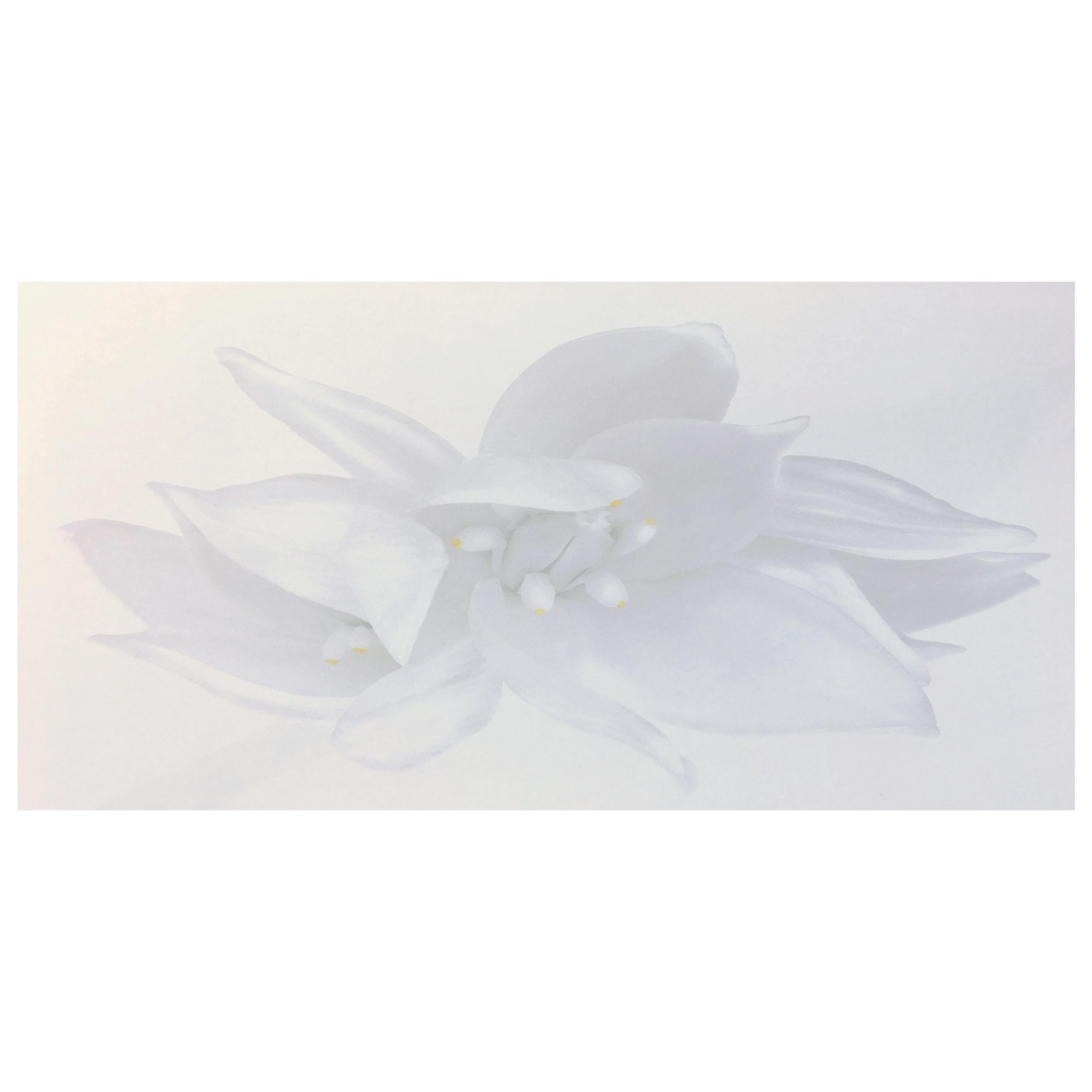 Rapture, Weiße Blumenschrank-Schrank-Fotografie in Schwarz-Weiß auf Plexiglas
