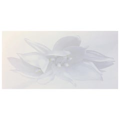 Rapture, White flower closet up Black and white Photograph Mounted on Plexiglass