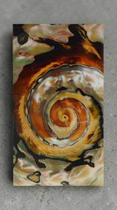Tourbillon.  Gros plan sur le plateau maritime. Grande photographie couleur montée sur plexiglas