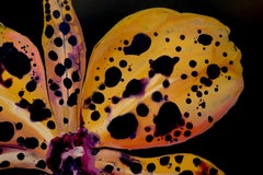 Cleopatra I: Fluid Acrylic Painting, Exotic Flower, 75x105 cm