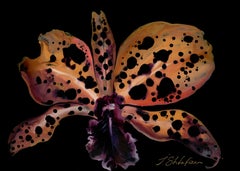Cleopatra I: Fluid Acrylic Painting, Exotic Flower, 75x105 cm