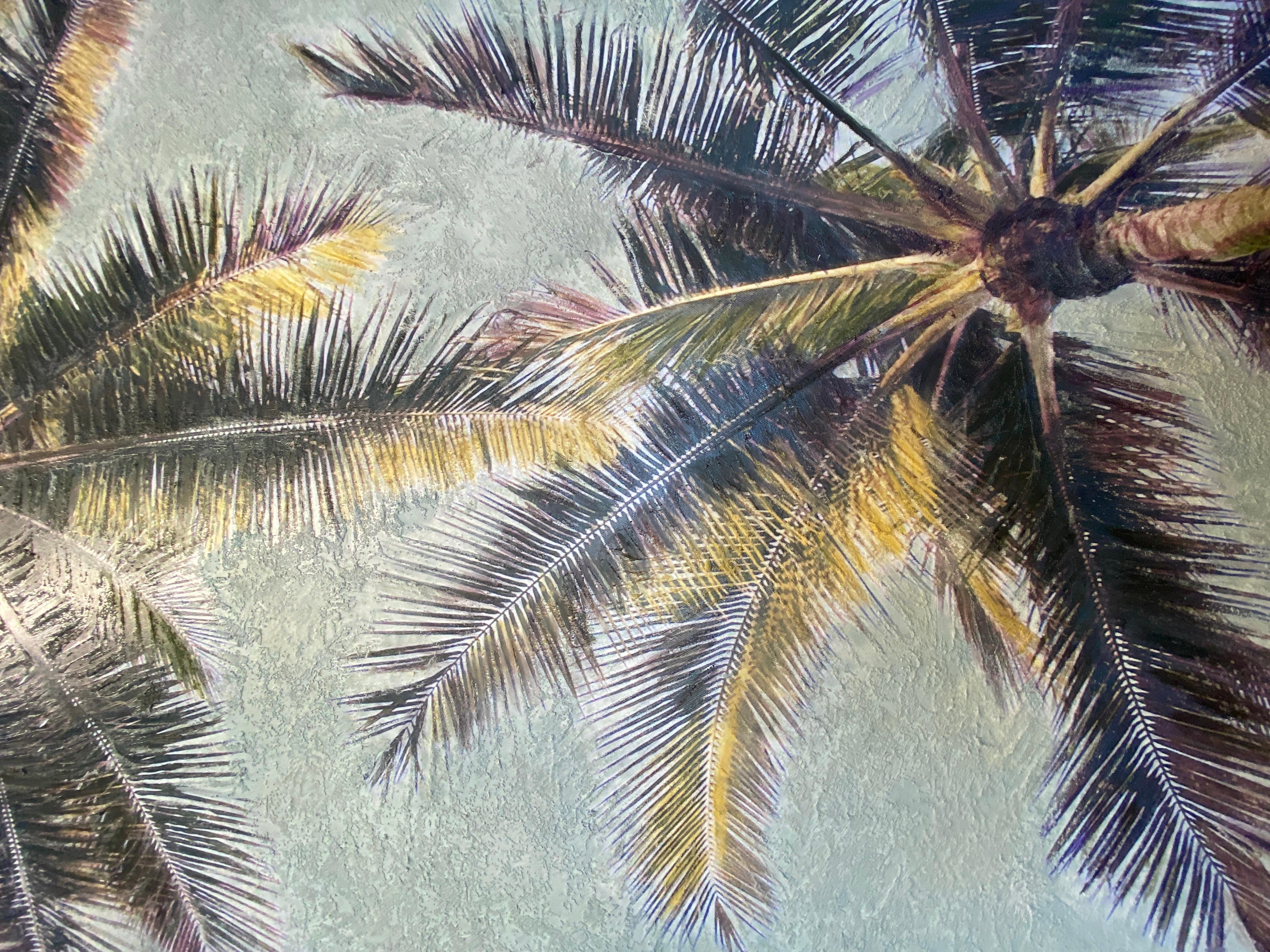 coastal palms media