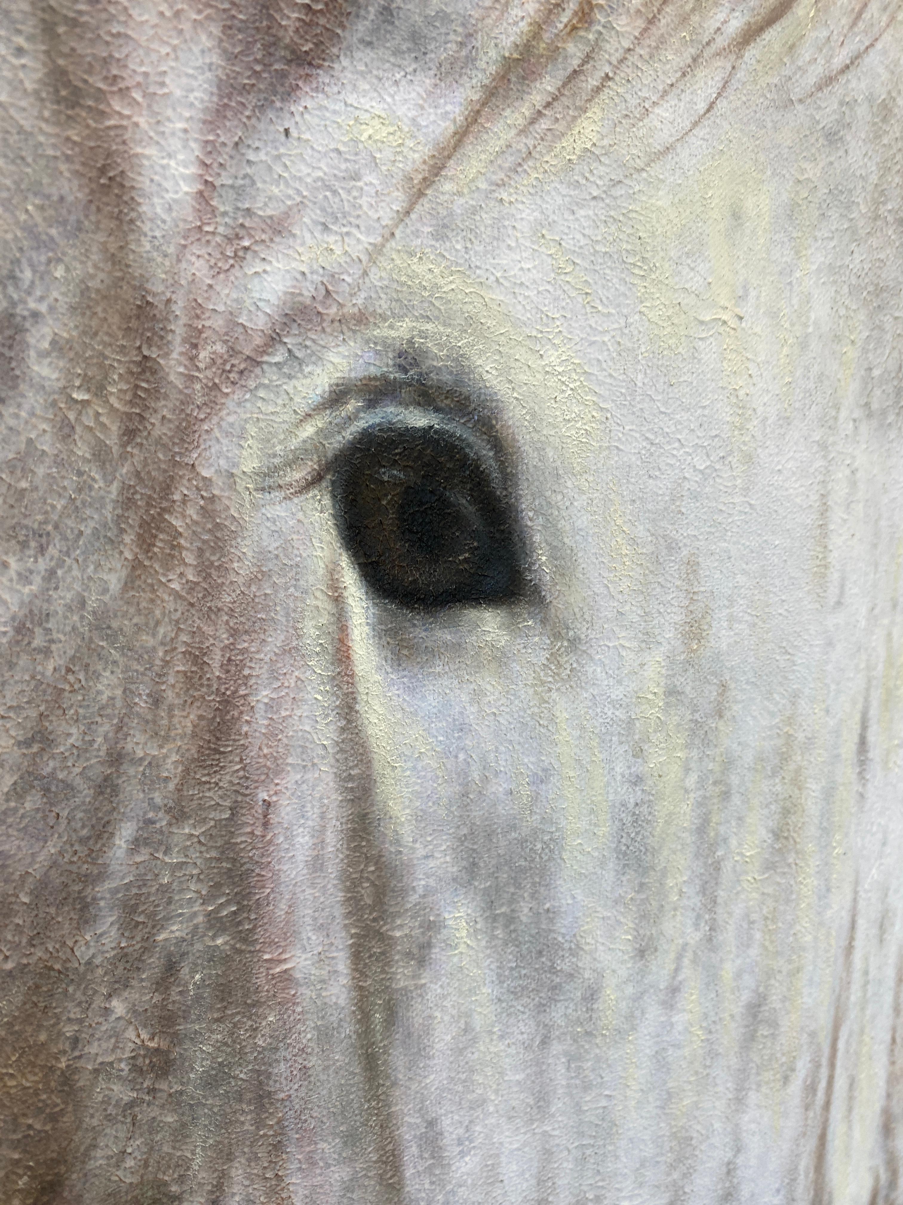 Peinture à l'huile sur toile « White Beauty » représentant un cheval rustique - Art équestre - Peinture sur toile « 58X58 » avec cheval - Gris Animal Painting par Irena Orlov
