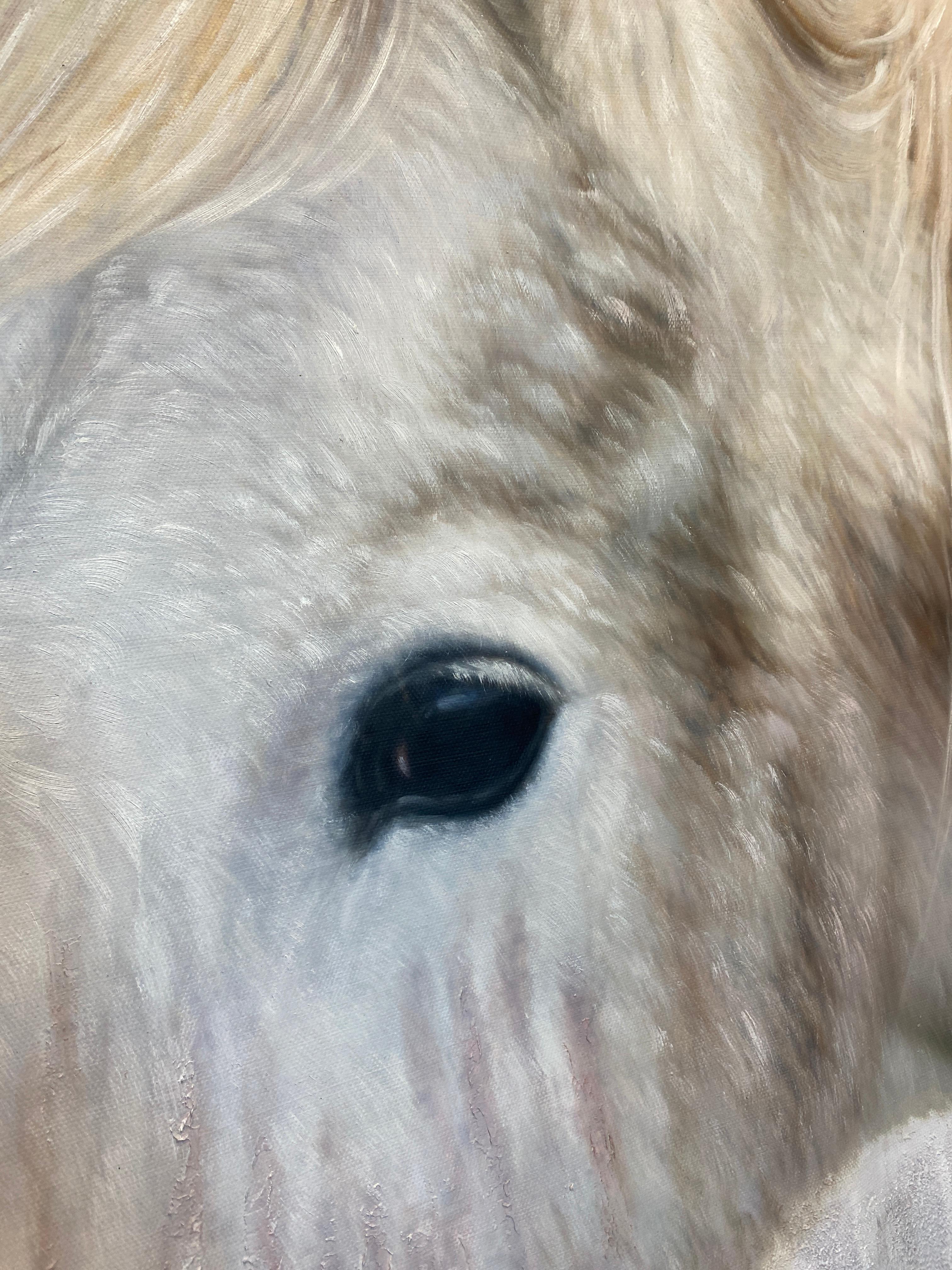 Peinture à l'huile sur toile, portrait de cheval de ferme rustique, blanc, 50 Hx72 W en vente 5