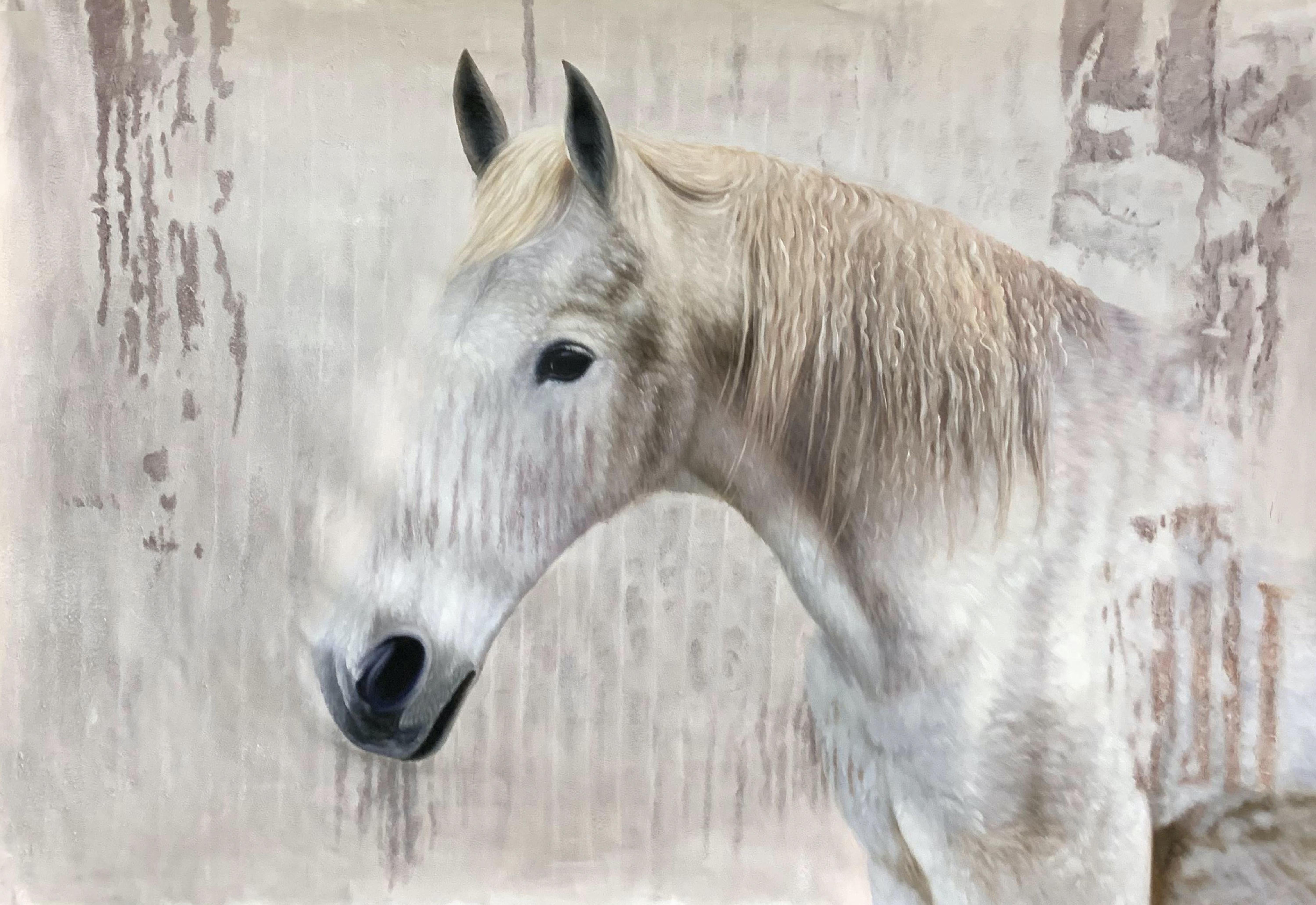 Peinture à l'huile sur toile, portrait de cheval de ferme rustique, blanc, 50 Hx72 W - Contemporain Painting par Irena Orlov