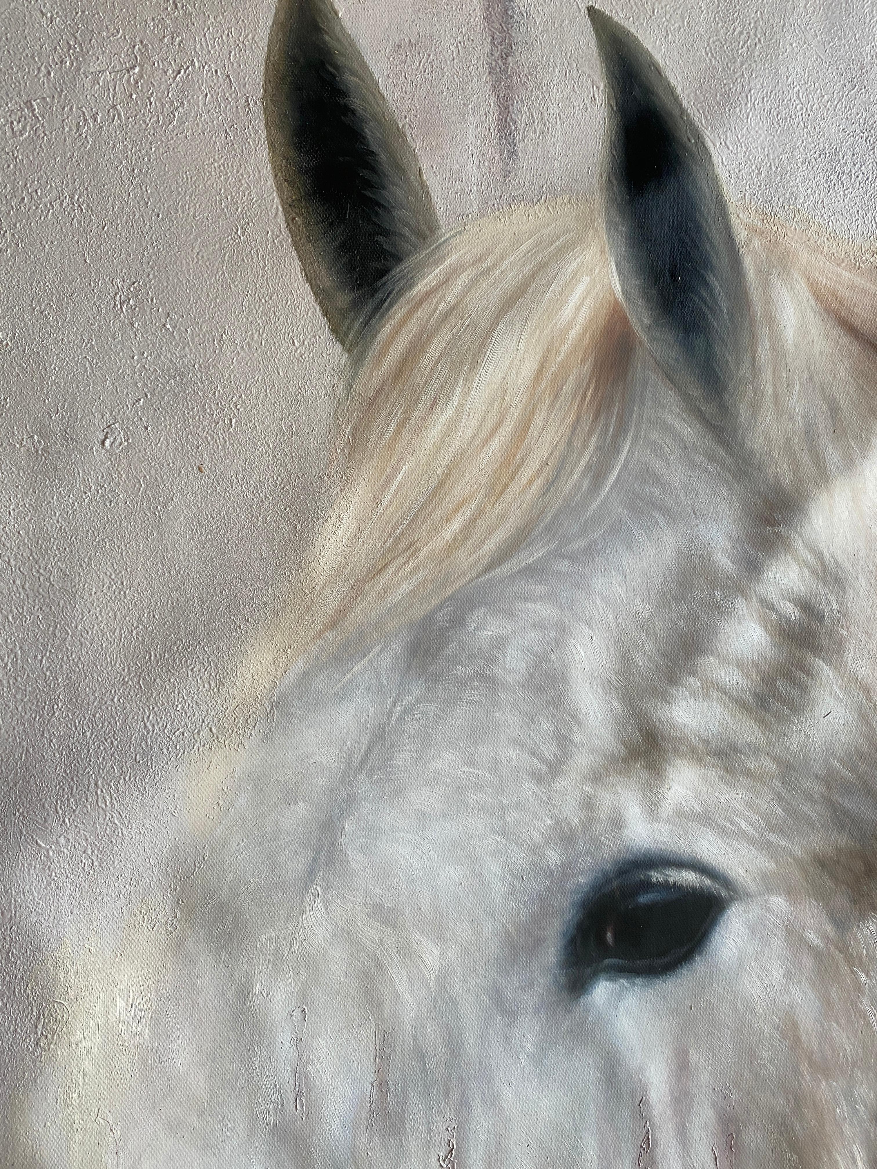Peinture à l'huile sur toile, portrait de cheval de ferme rustique, blanc, 50 Hx72 W en vente 1