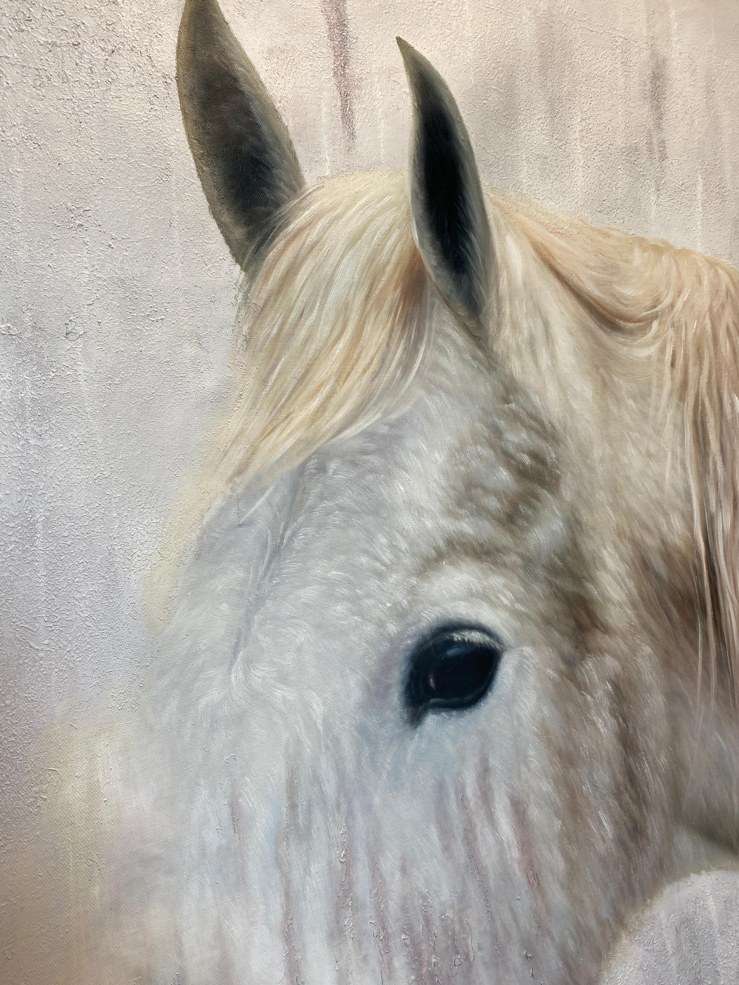 Weißweißes rustikales Bauernhauspferd Ölgemälde auf Leinwand 50Hx72W Pferdeporträt Kunst im Angebot 3
