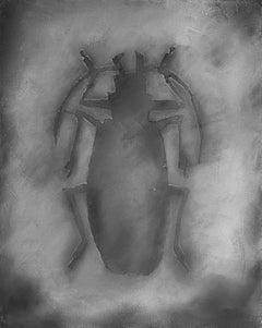 Longhorn Beetle Textured