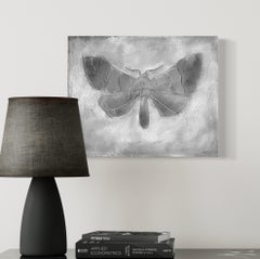 Original Black and White Painting Small Night Moth Textured