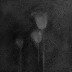 Tulips at Night