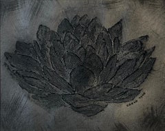 Lily d'eau noire