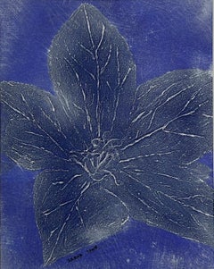 Fleur tropicale bleue