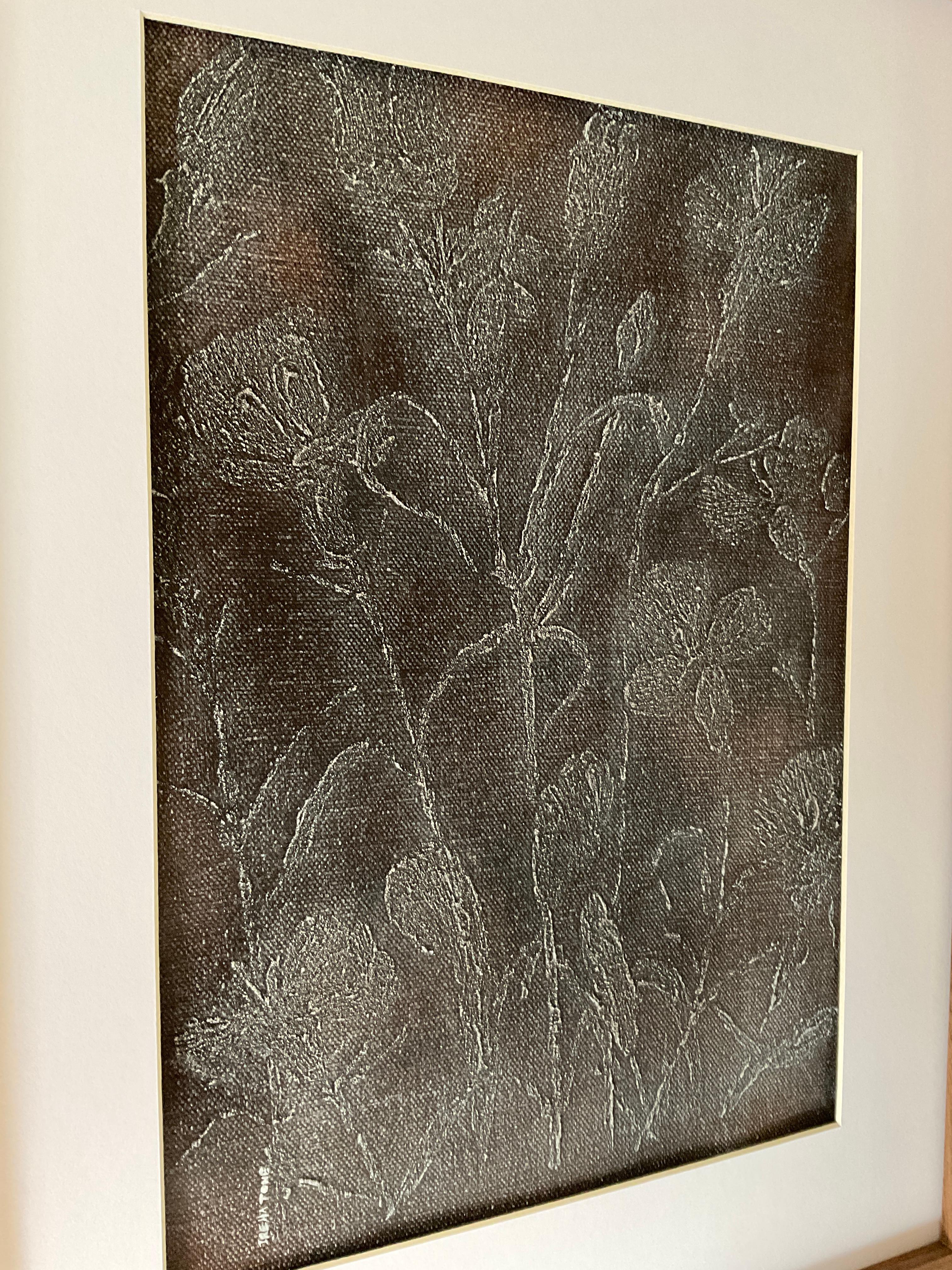 Flor de dianthus 1