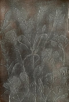 Dianthusblüte
