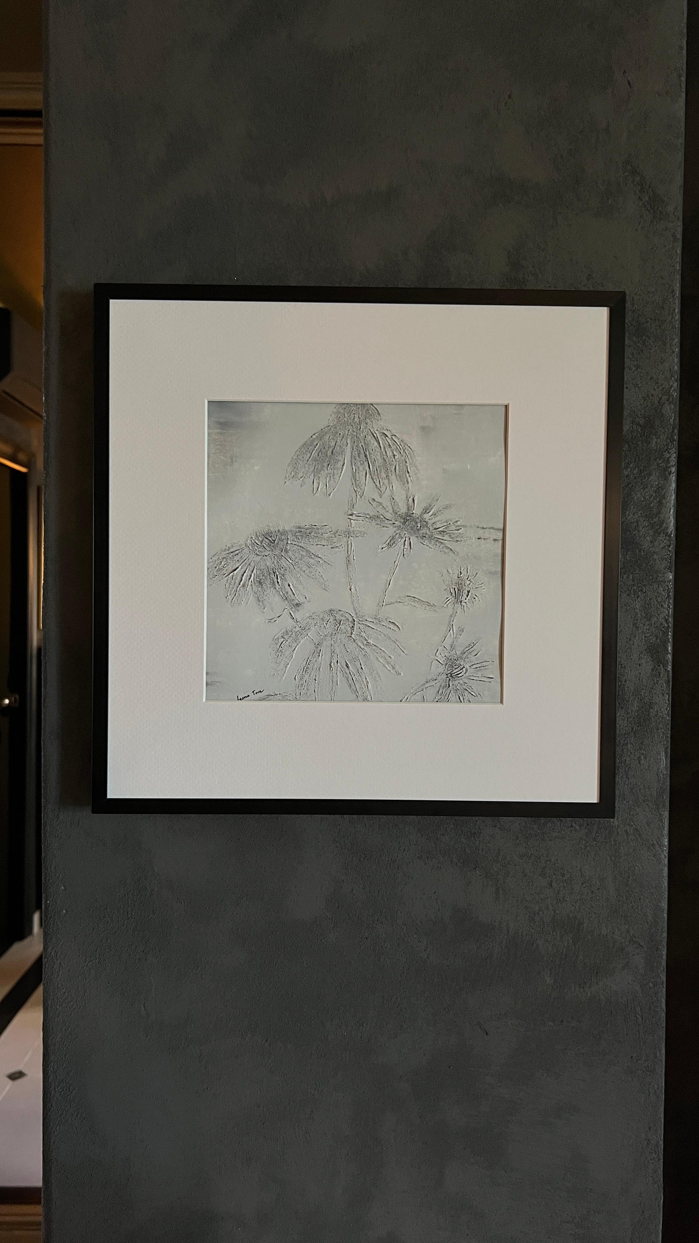 Echinacea 5