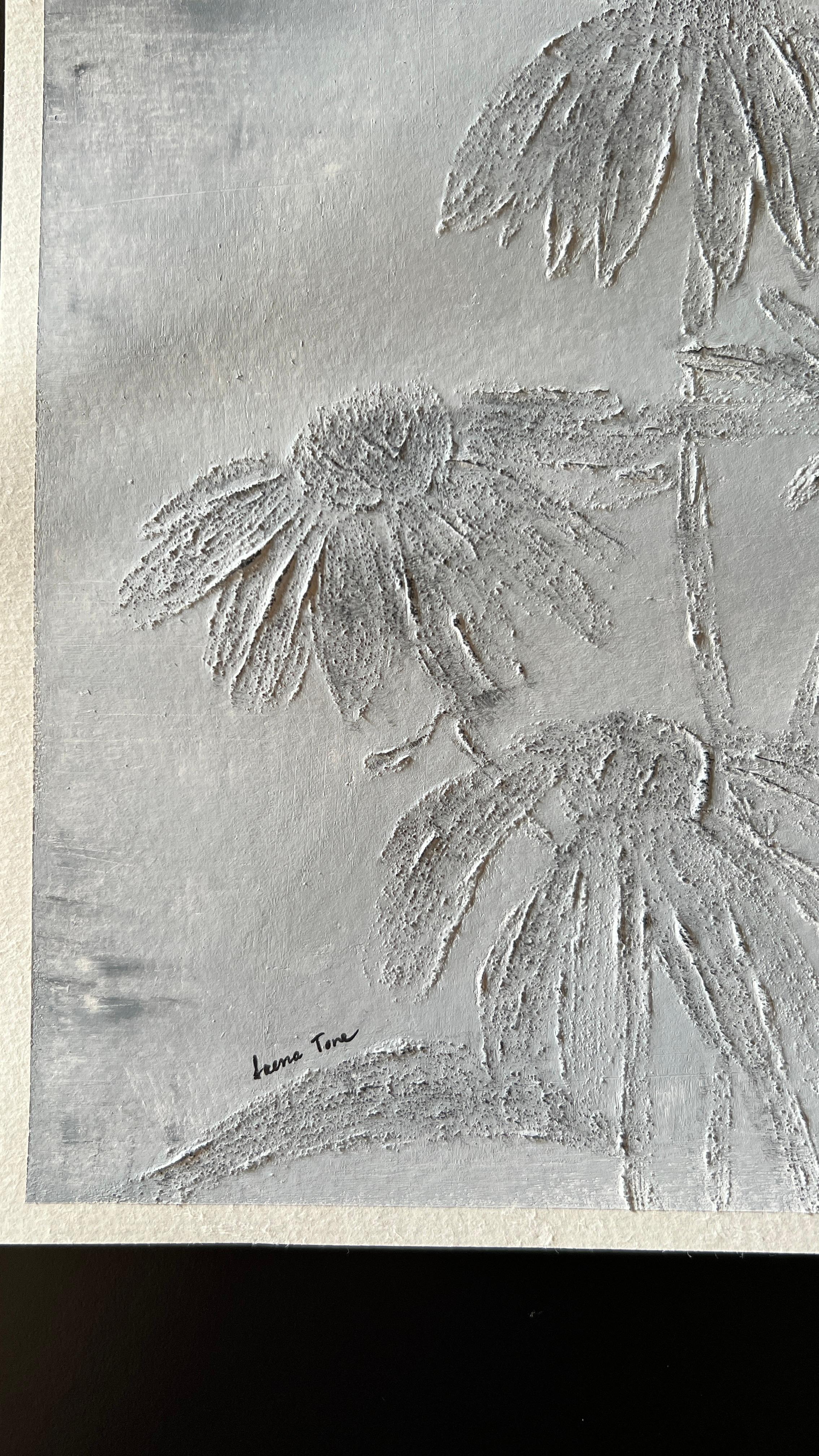Echinacea 1
