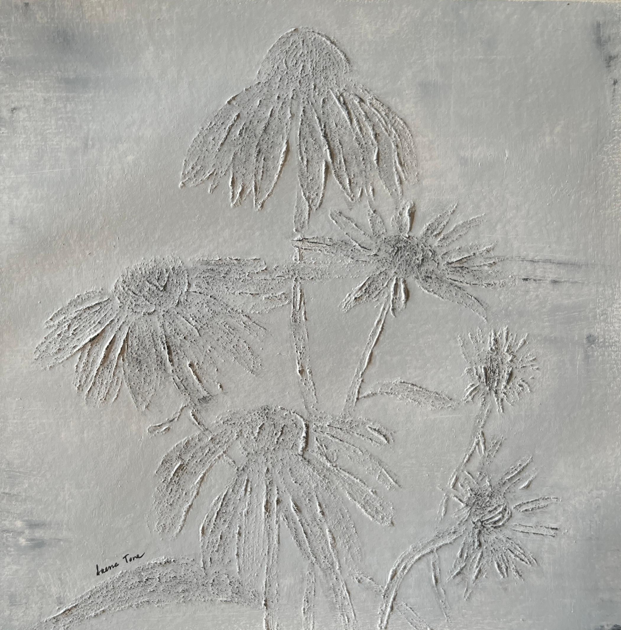 Echinacea 2
