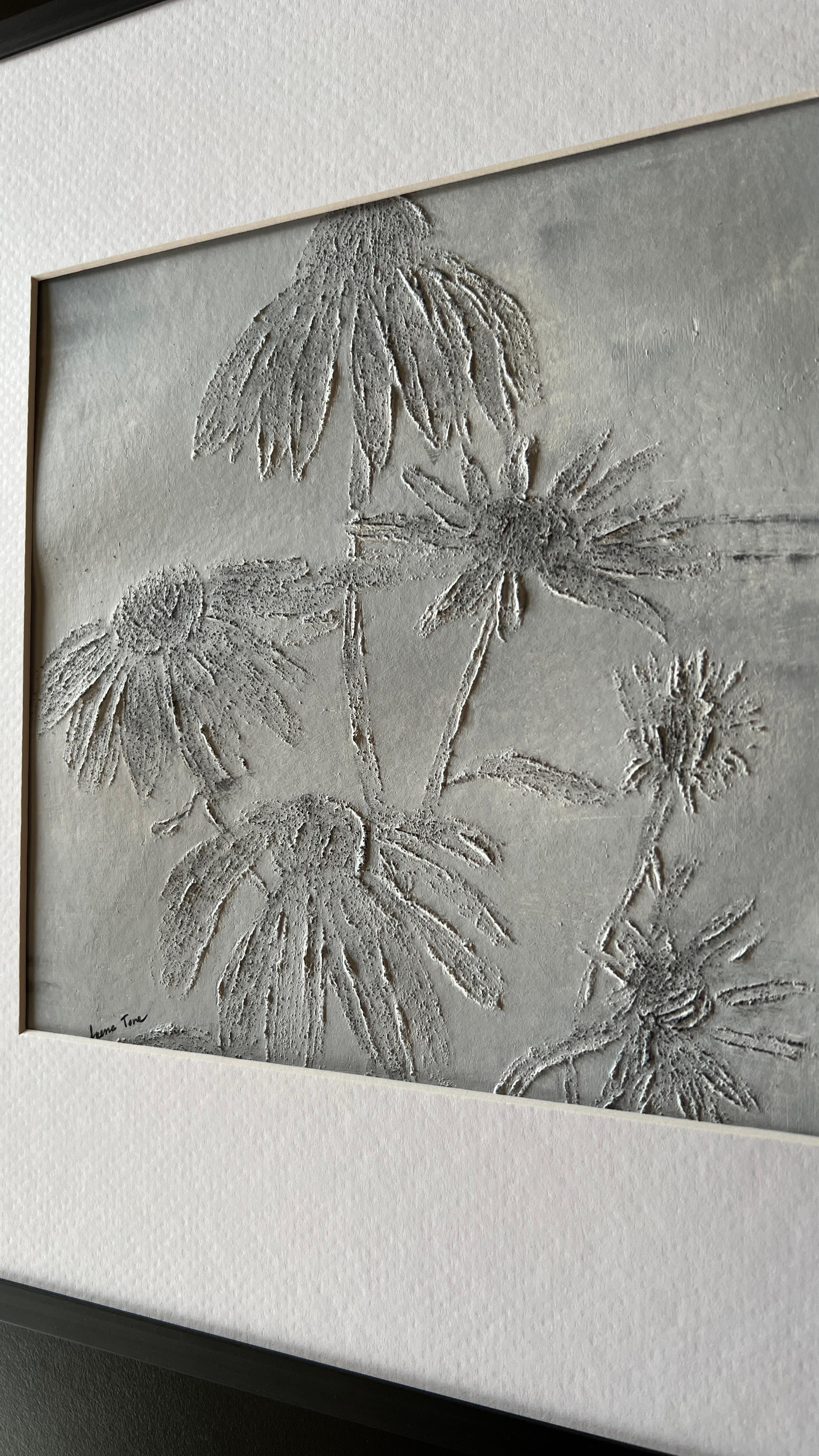 Echinacea 3