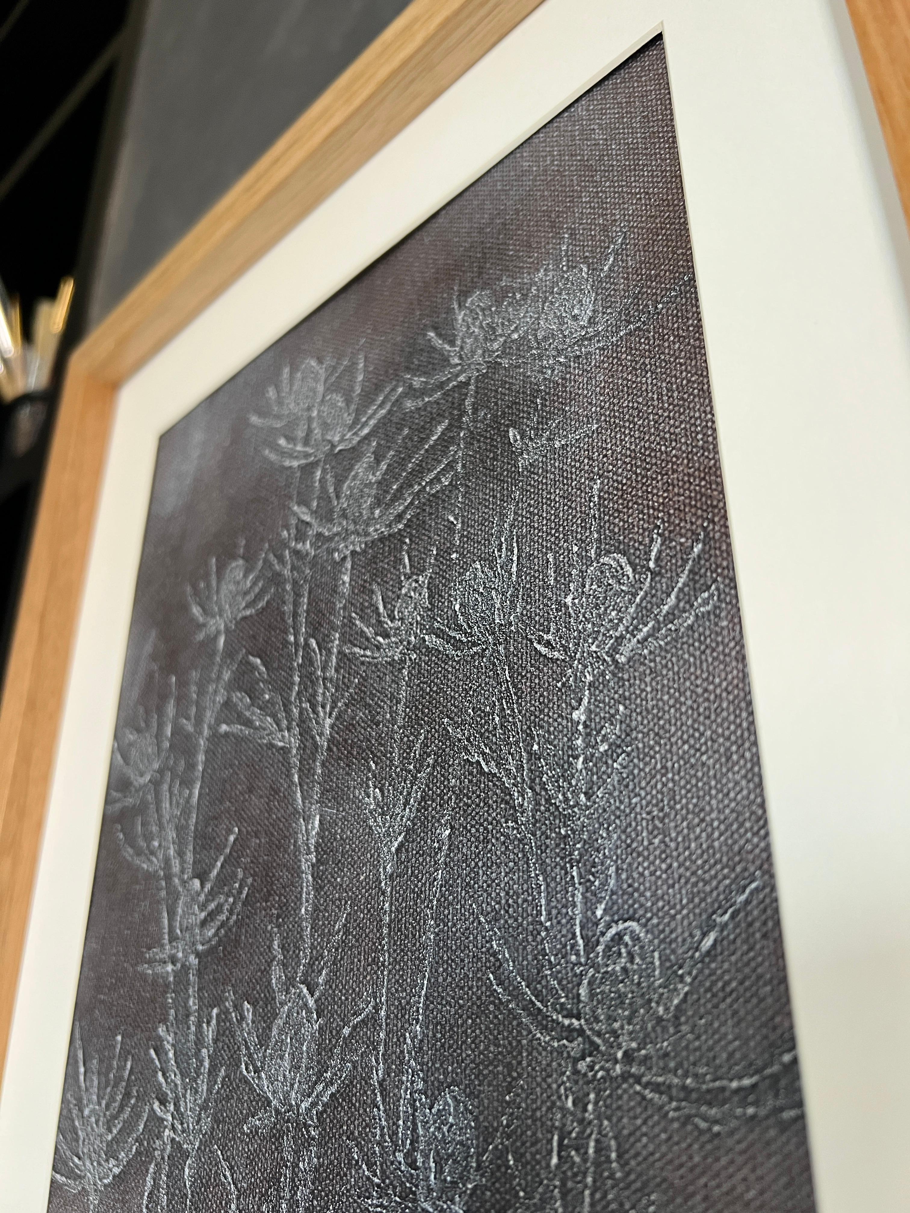 Eryngium marrón 2
