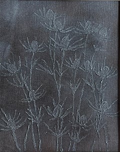 Eryngium marrón