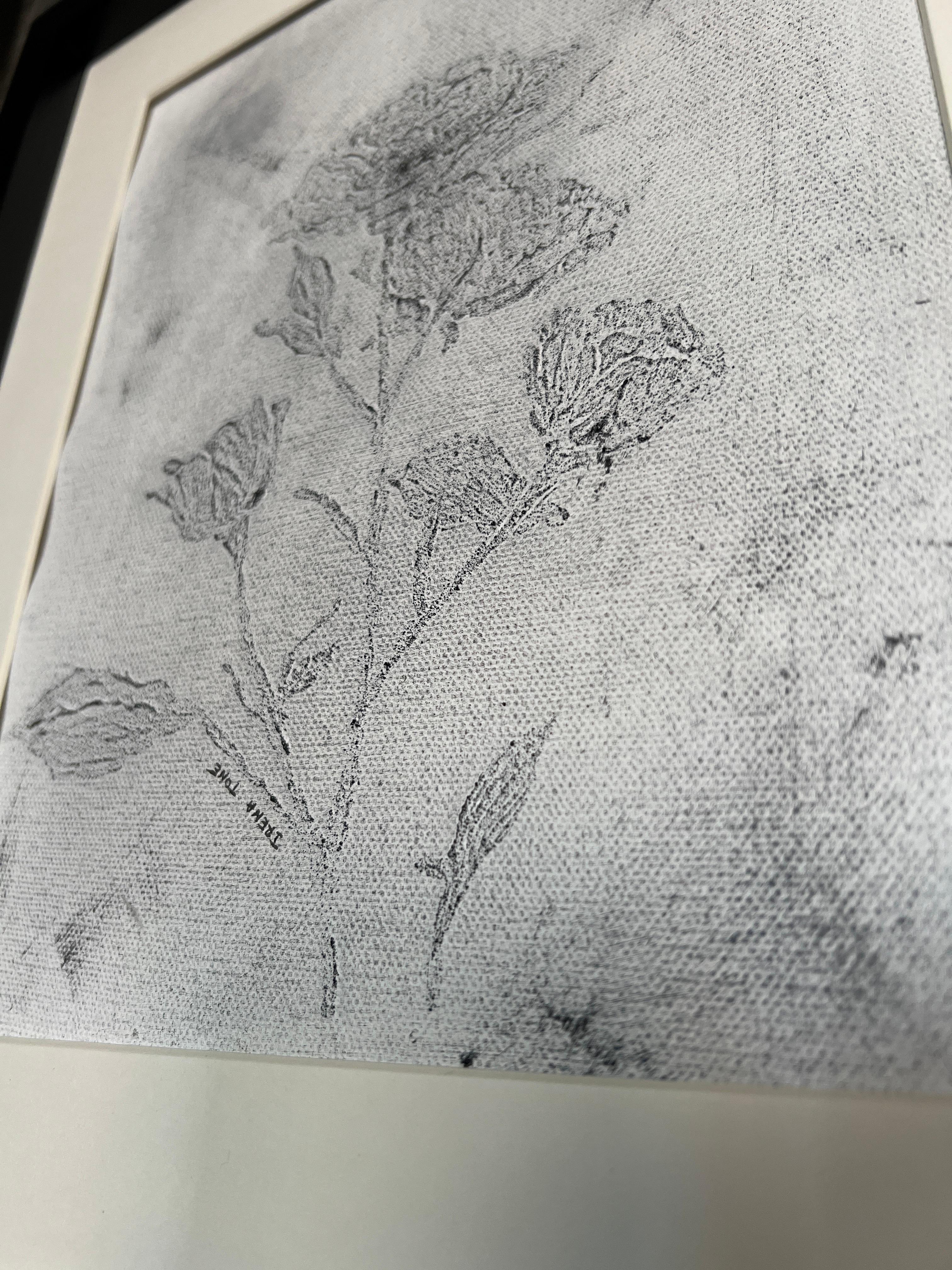 Garden Rose Black and White 4