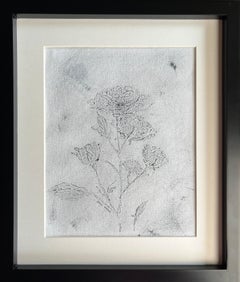 Schwarz-weiße Garten-Rose-Schwarz-Weiß