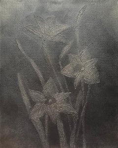 Grey Metallic Daffodils 