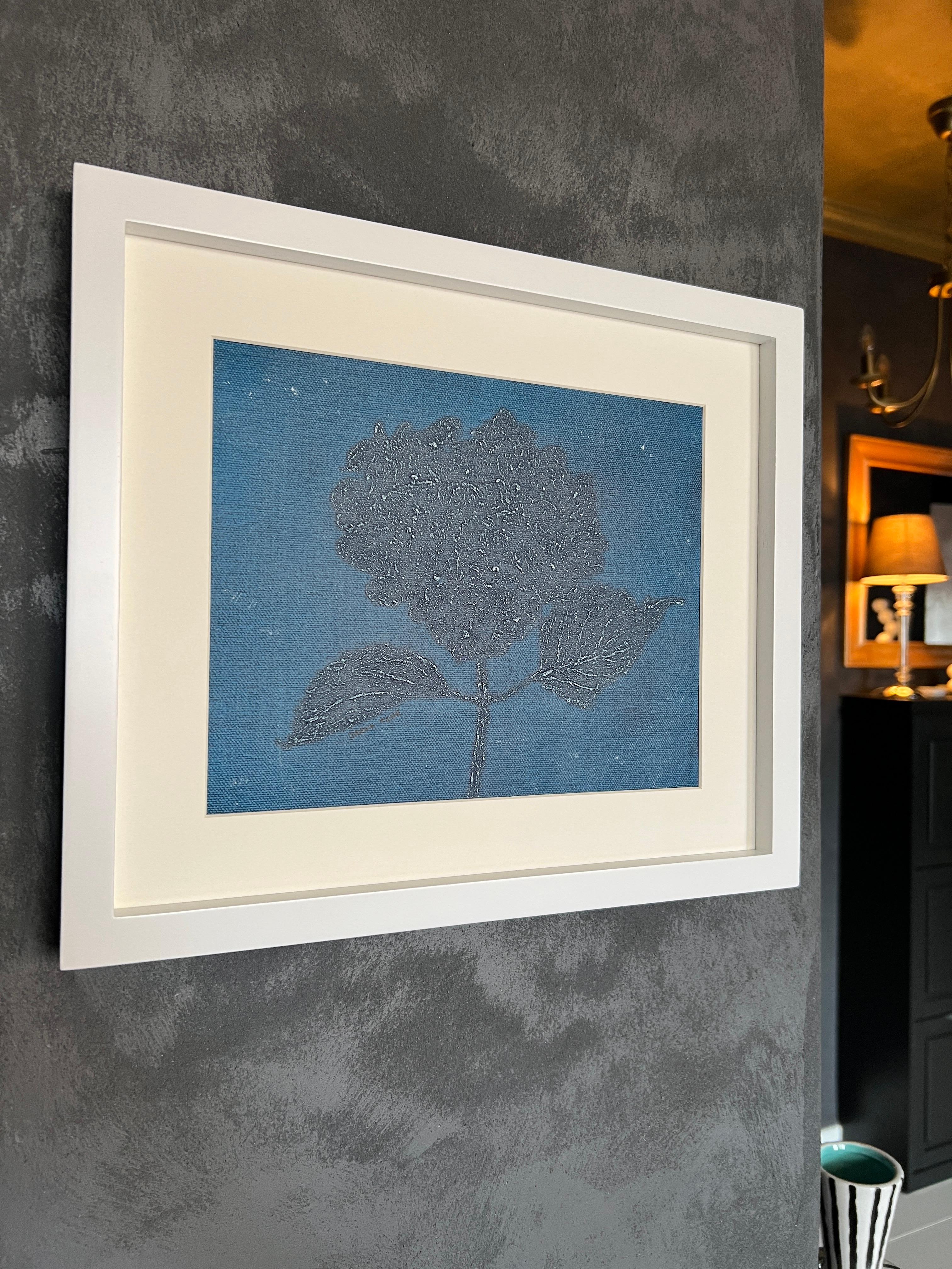 Hortensia Blu 1