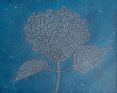 Hortensia Azul