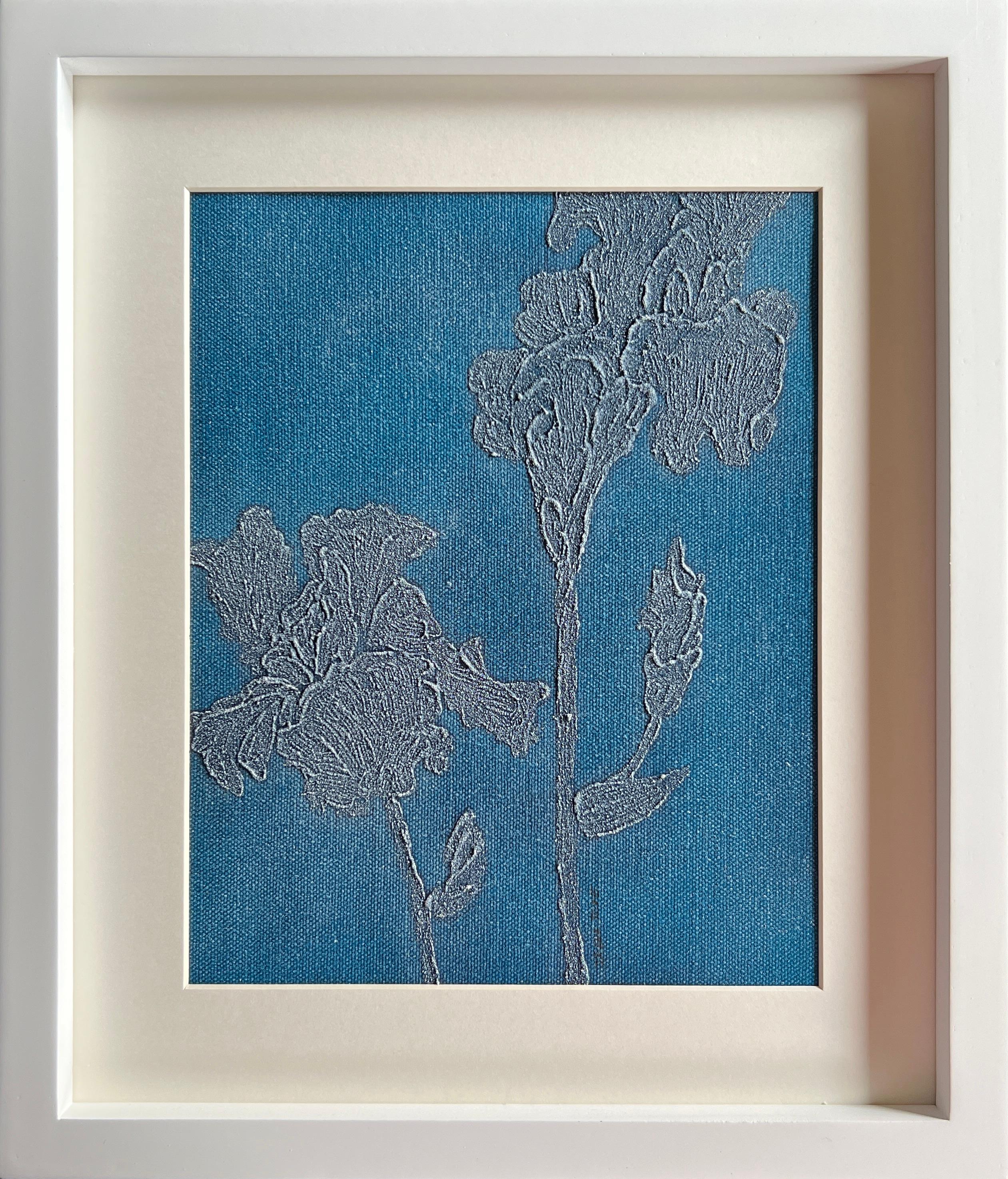 Iris Germanica Azul 7