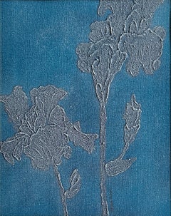 Iris Germanica Azul