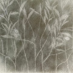 Olive tree