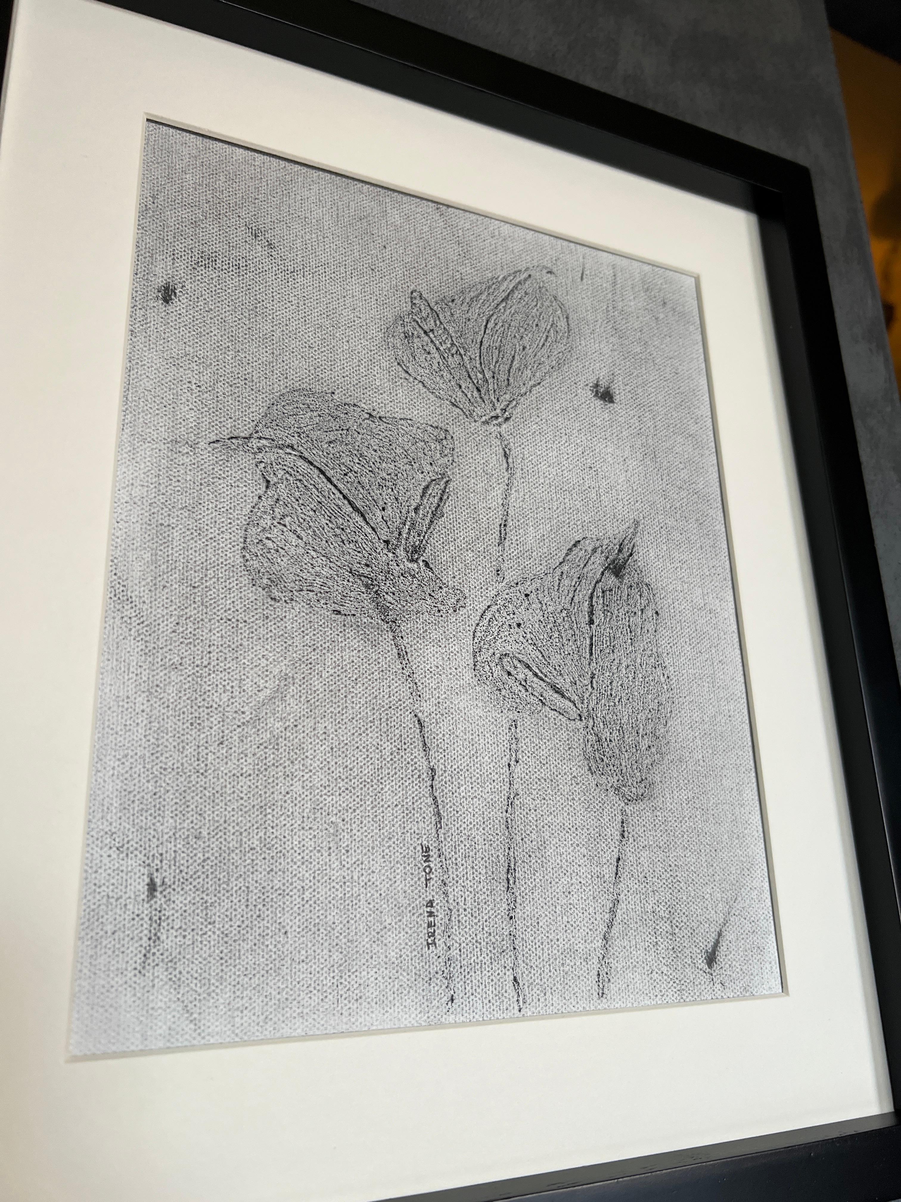 Anthurium Blanco y Negro 1