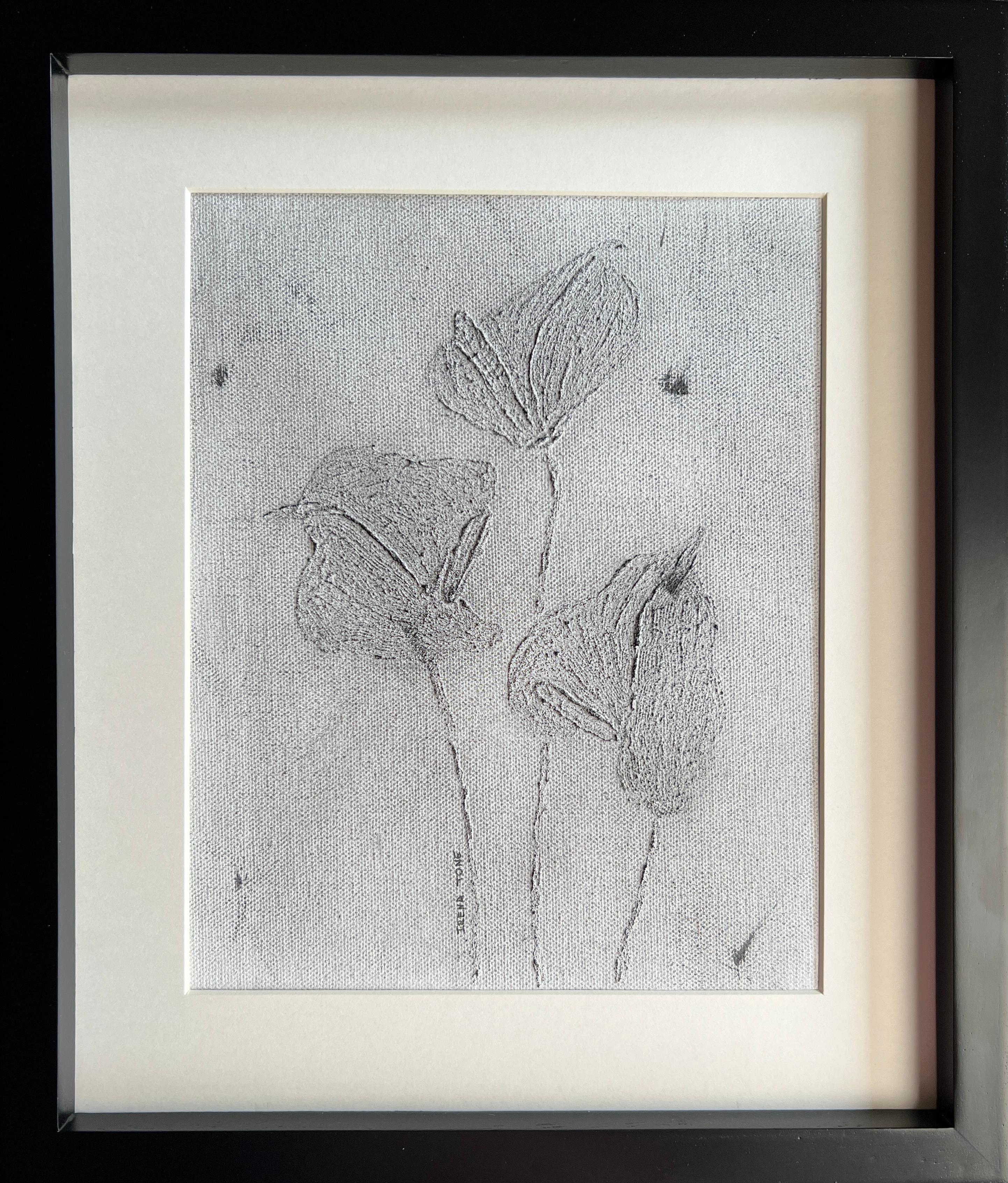 Anthurium Blanco y Negro 3