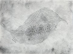 Anthurium bianco e nero