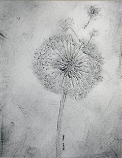 Dente di leone in bianco e nero