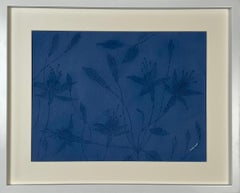 Original-Wandkunst aus blauem tropischem Acryl, von Rahmen getragen