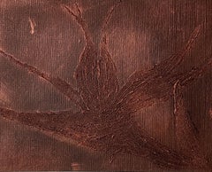 Bronze Paradiesvogel