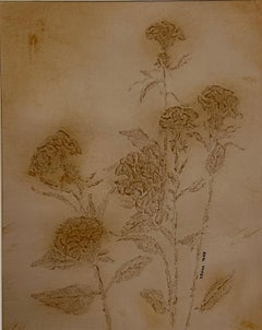 Cockscomb