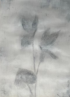 Cyclamen Blumen