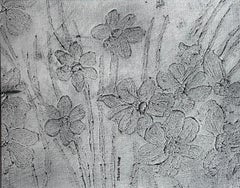 Campo de narcisos